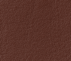 Plymalader-Slottskogen-light-brown.png