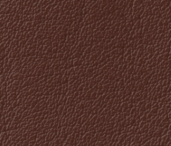Plymalader-Slottskogen-brown.png