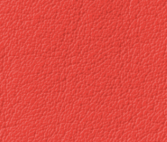 Plymalader-Slottskogen-red.png
