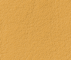 Plymalader-Slottskogen-light-beige.png