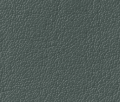 Plymalader-Slottskogen-gray.png