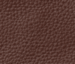 Plymalader-Slottskogen-brown2.png