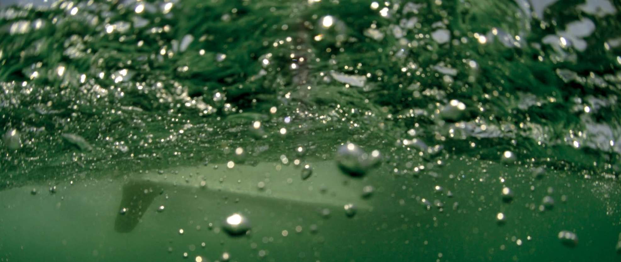 BIJOUTERIE CAURI HONFLEUR MARCH LAB.PNG