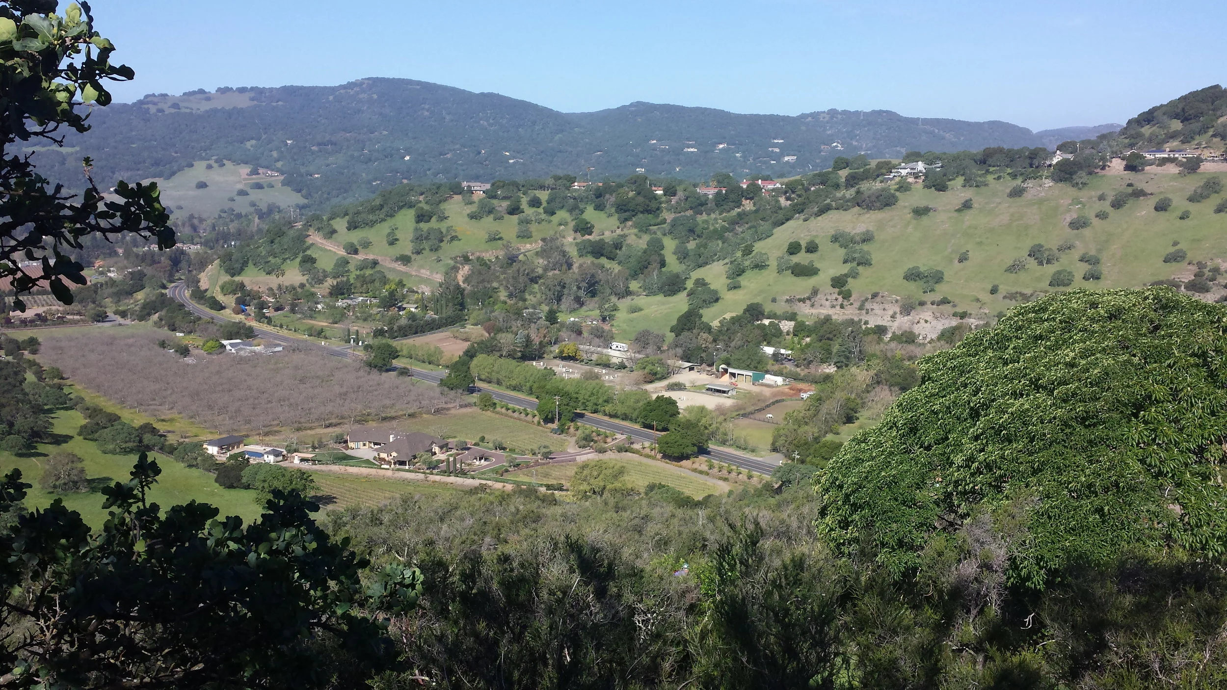 overview 3.jpg