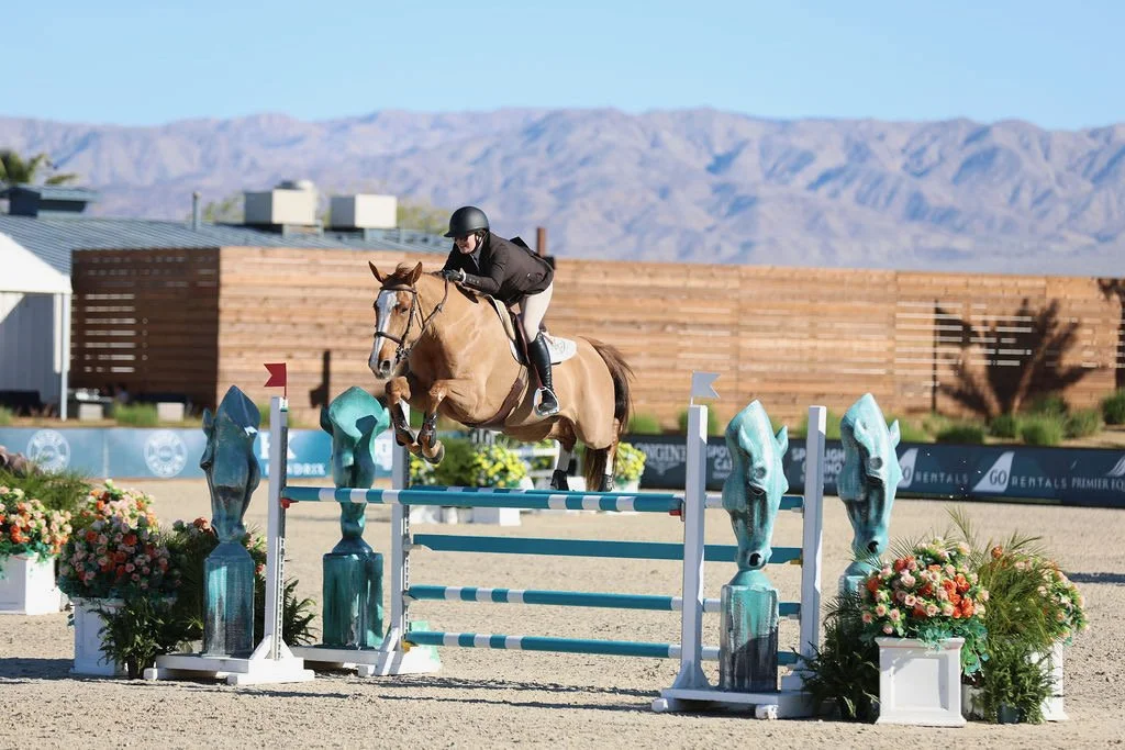 DIHP Week 2 & 3 Recap