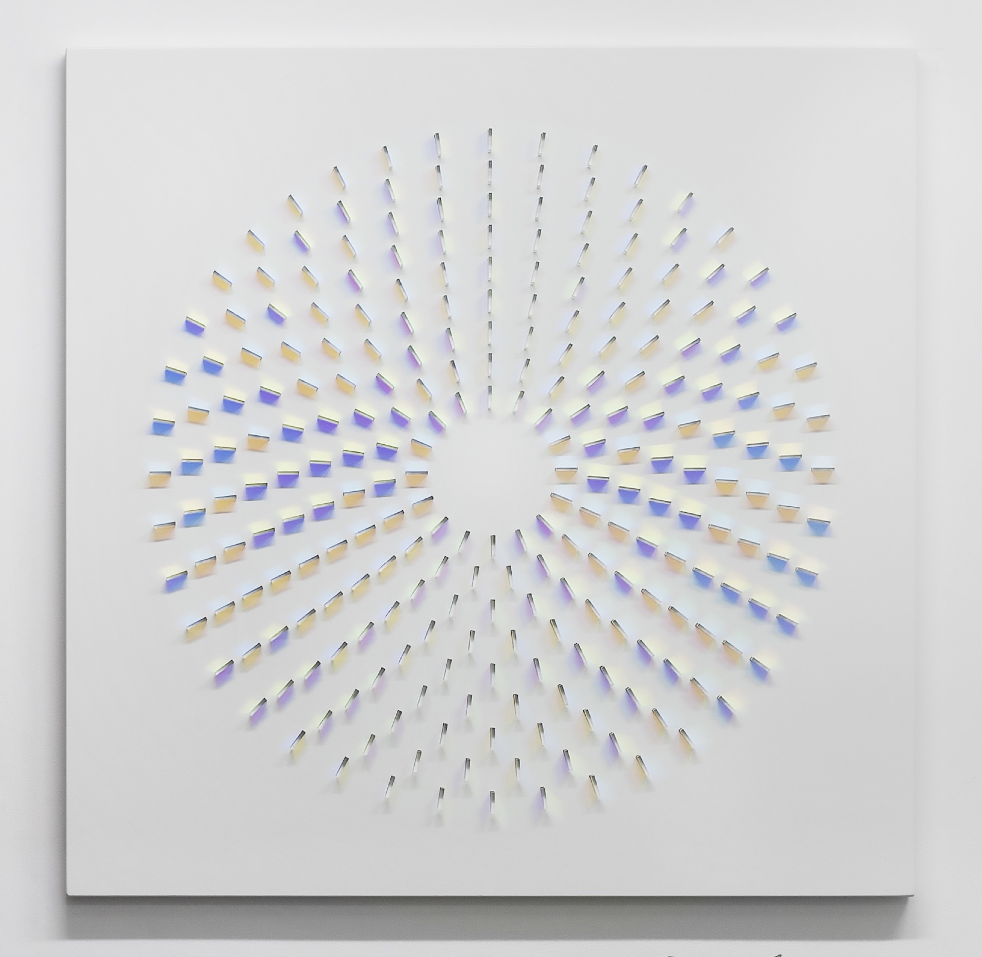 Circle C