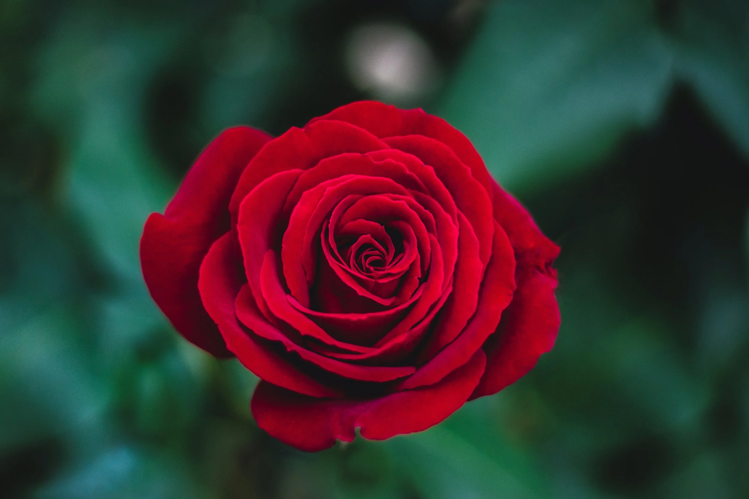 AT OUR CORE WE ARE LOVE