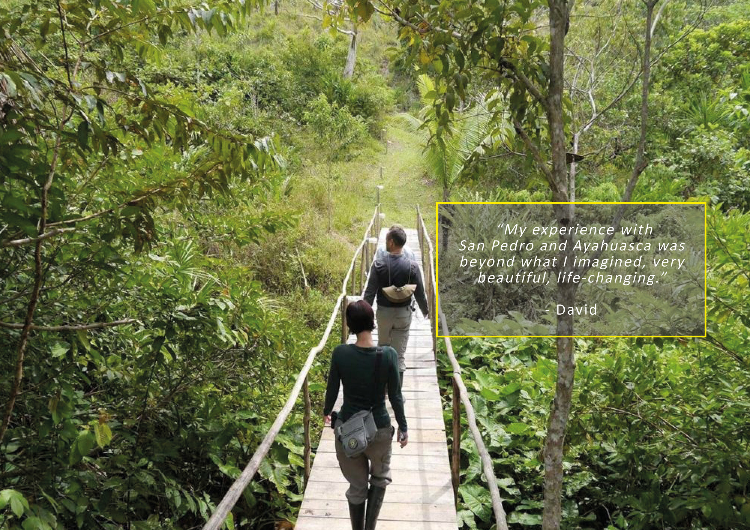 medince plant quote.jpg