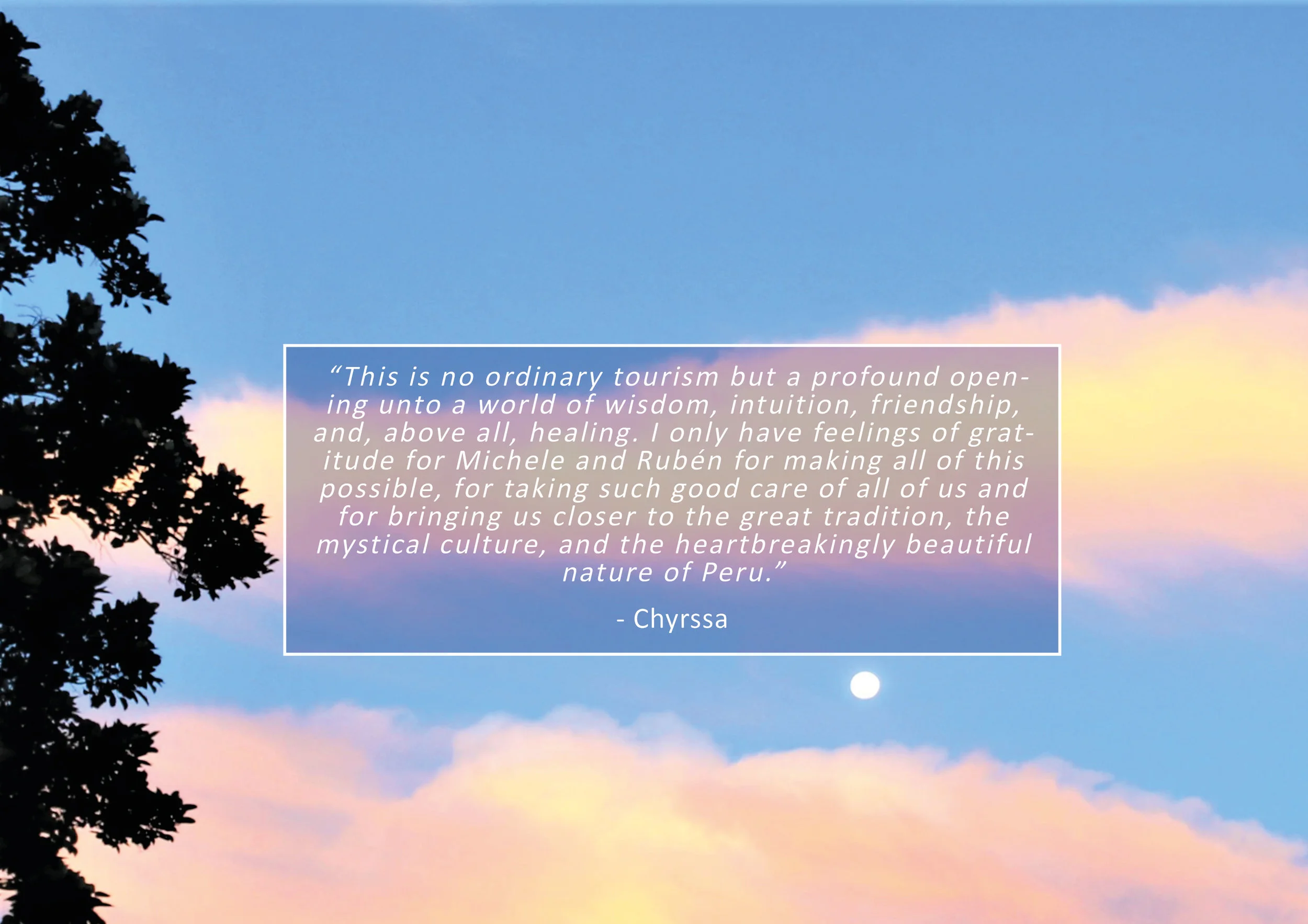 chryssa quote.jpg