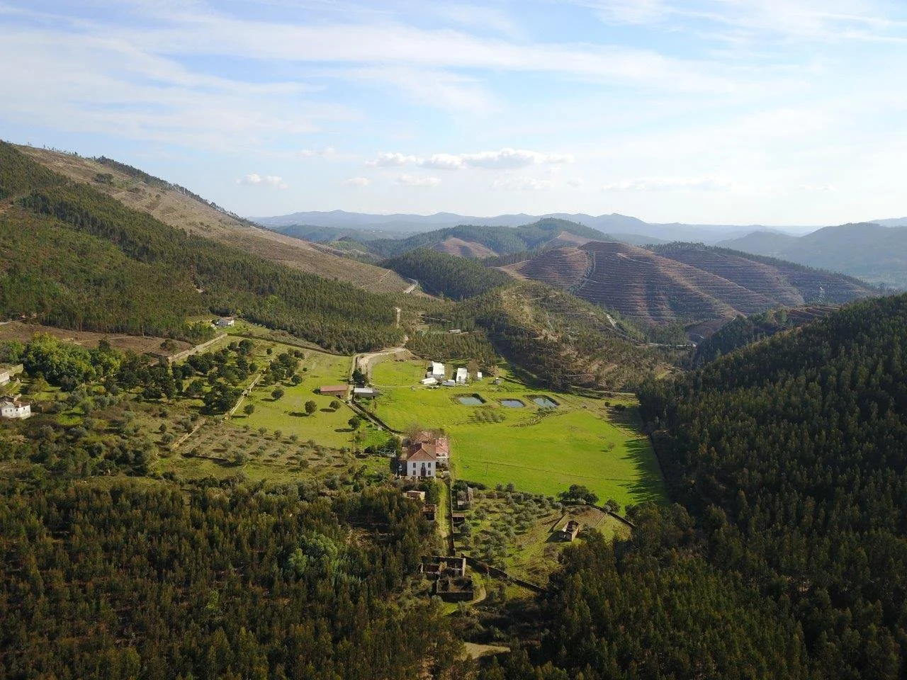 SAN PEDRO & PSILOCYBIN RETREAT (Fully Booked)