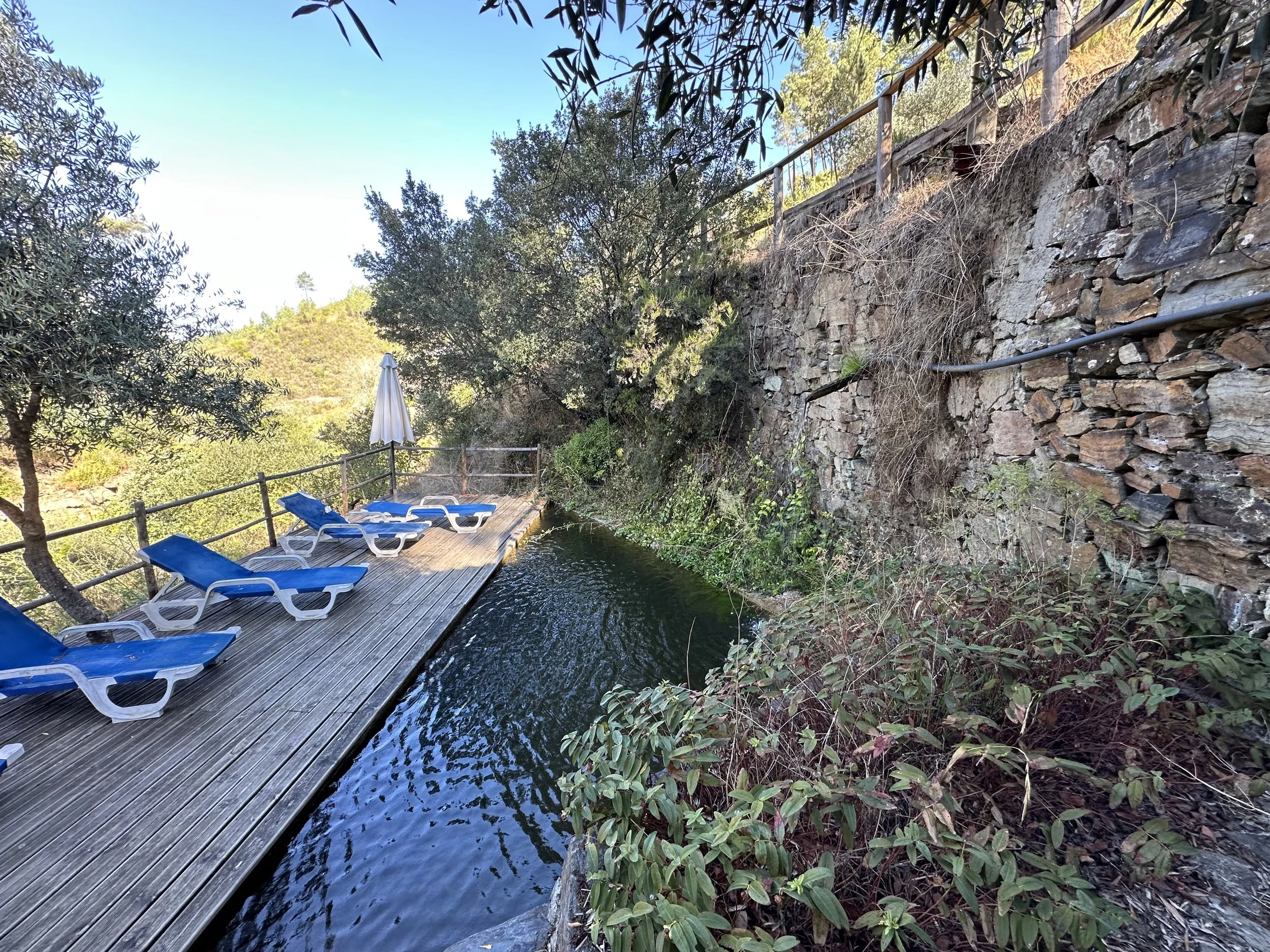 EL Plunge Pool 2.jpg