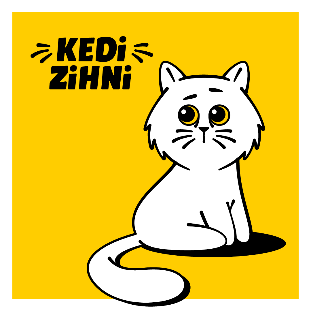 ZIHNI_kapak.PNG