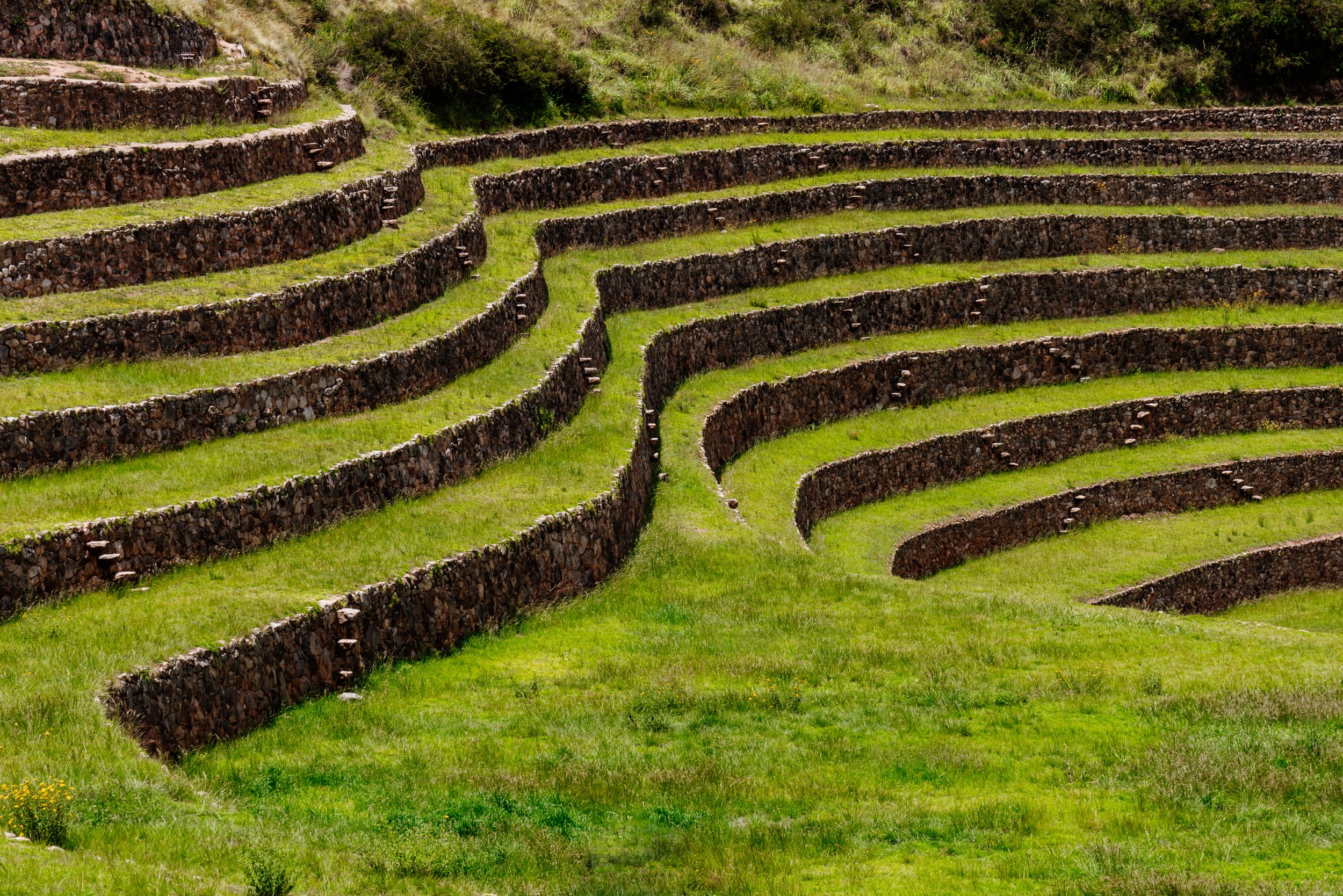 Ancient agricultural terraces with stone walls and green grass.