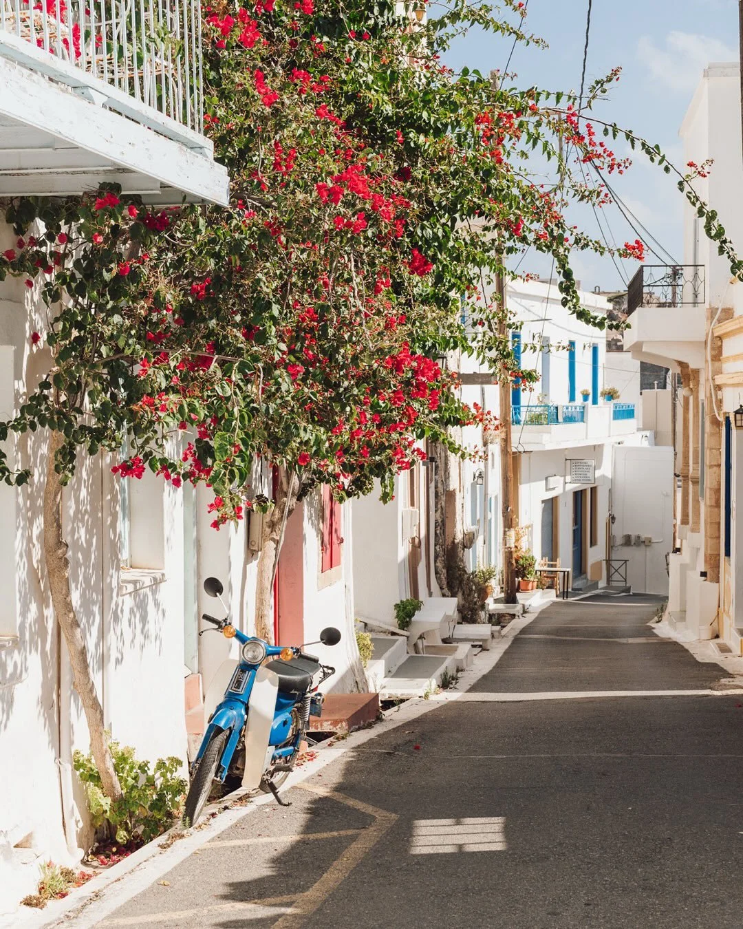 every window tells a story. peeling paint and well-loved lace hold memories far different than salt-washed storm shutters that have watched the tides change moon after moon.

a collection of little portals and reflections.

welcome to my accidental t