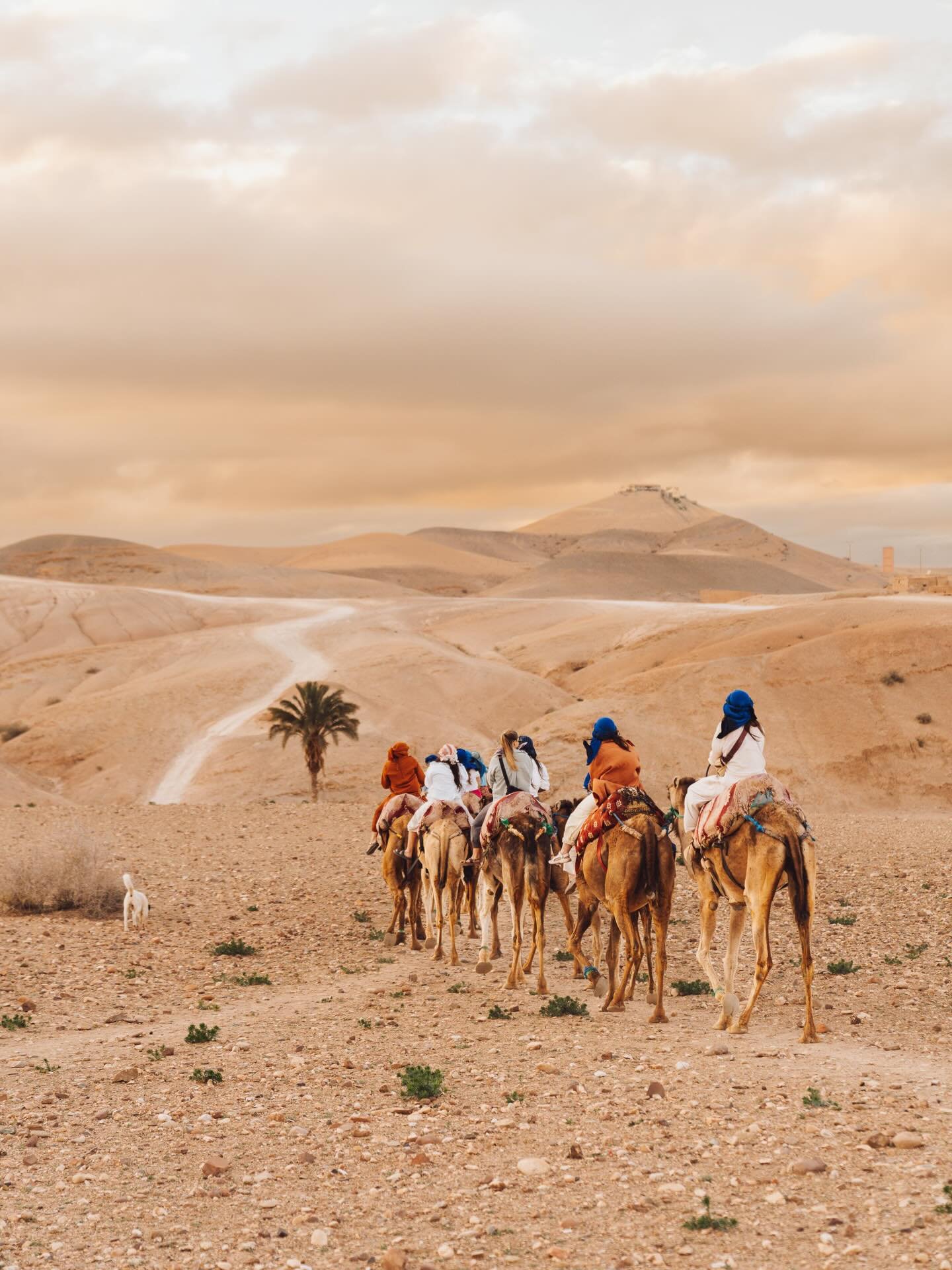 as artists, there&rsquo;s something important about staying with your work&mdash;not just creating it, but returning to it with wiser eyes. being with it, watching it shift and soften, letting it show you how you&rsquo;ve evolved.

lately i&rsquo;ve 