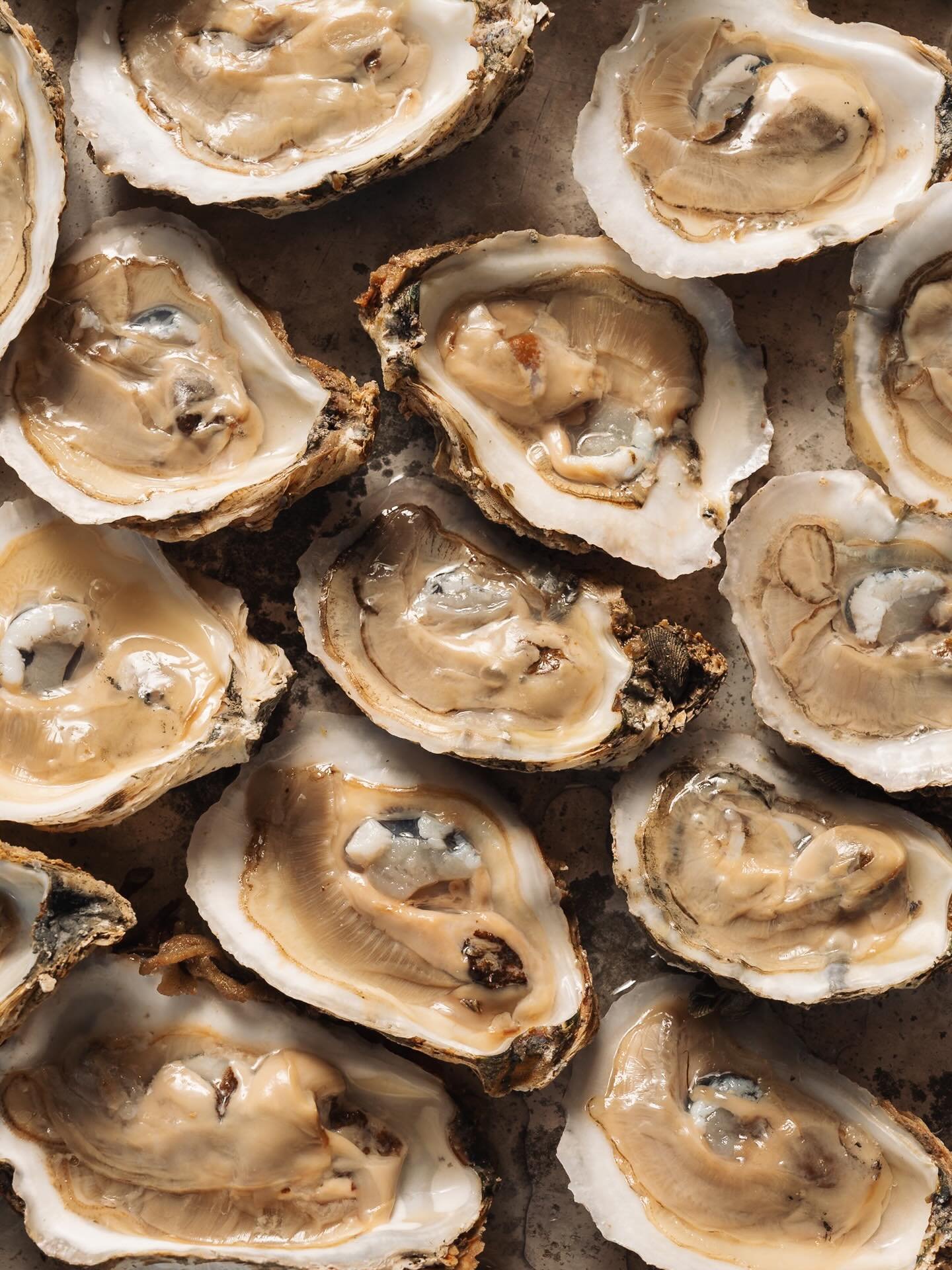 I just like this photo.

shot for @ryestreettavern 

#foodphotographer #dcphotographer #baltimorerestaurants