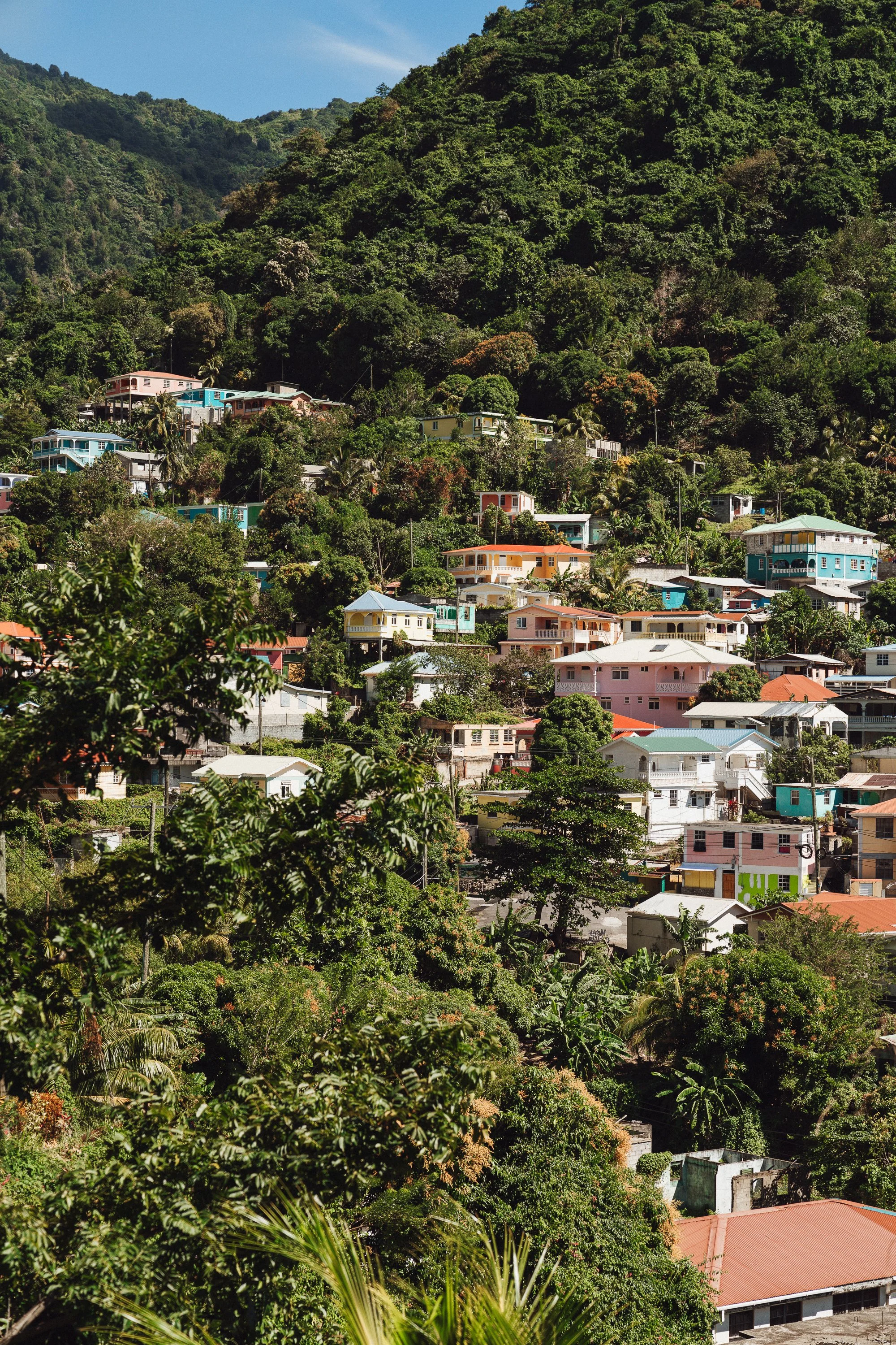 Lily Begg Yoga - Dominica