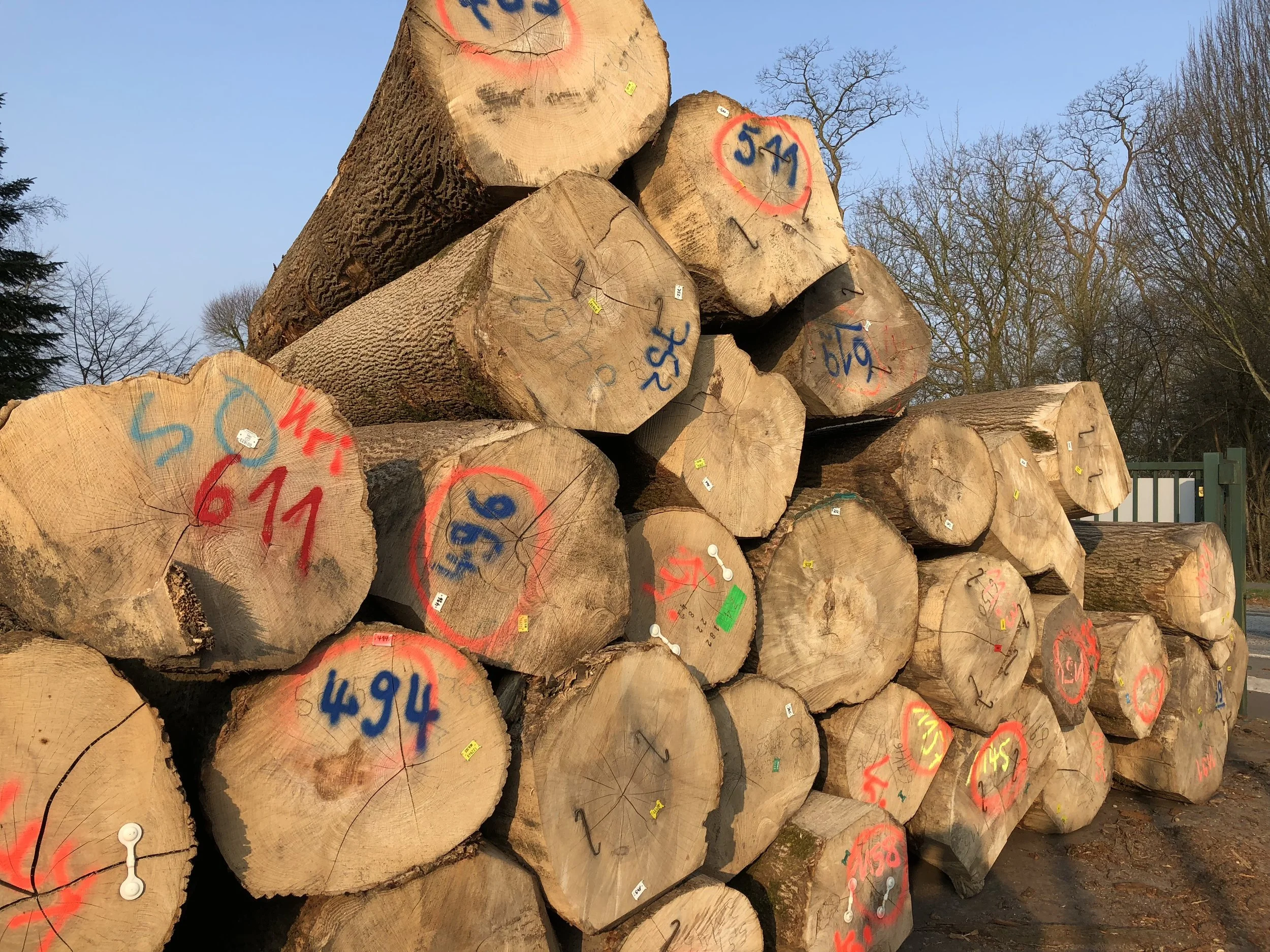 Copenhagen Hardwood.jpg