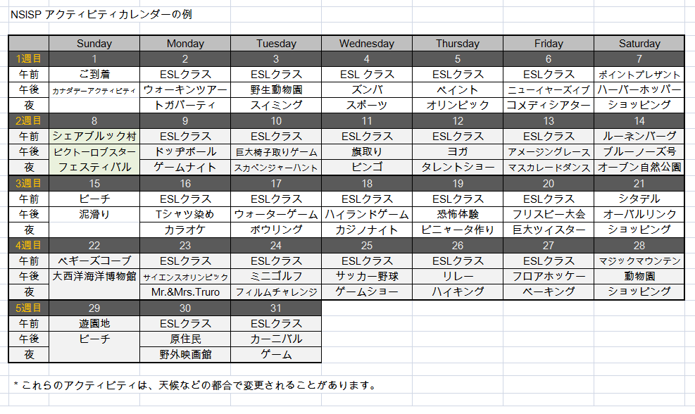 NSISPアクティビティカレンダーの例2019年度版.png
