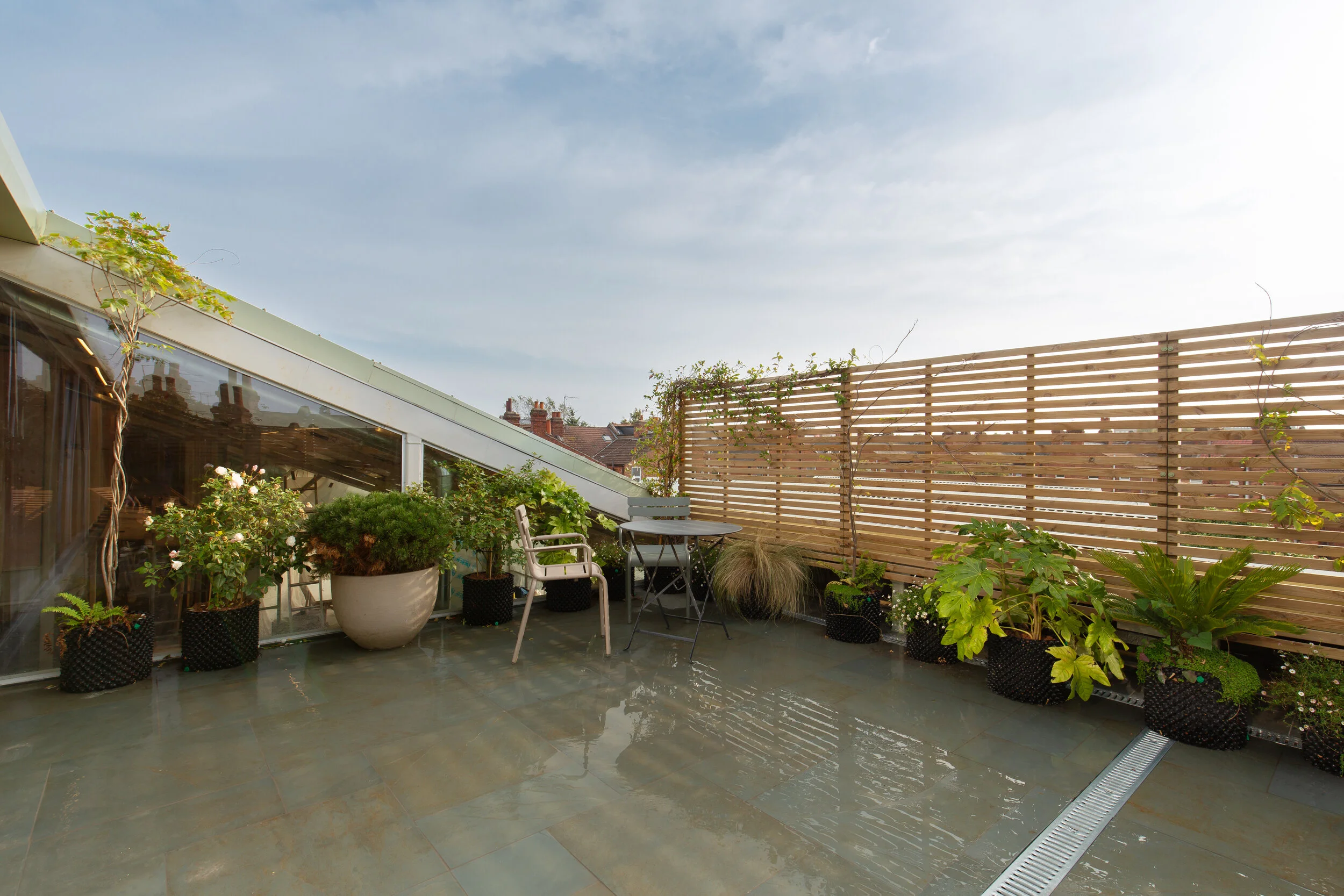 Planting has started on second floor roof terrace.  Jasmine, Wisteria, Pinus Sylvestrius, Osmanthus shrubs and white roses