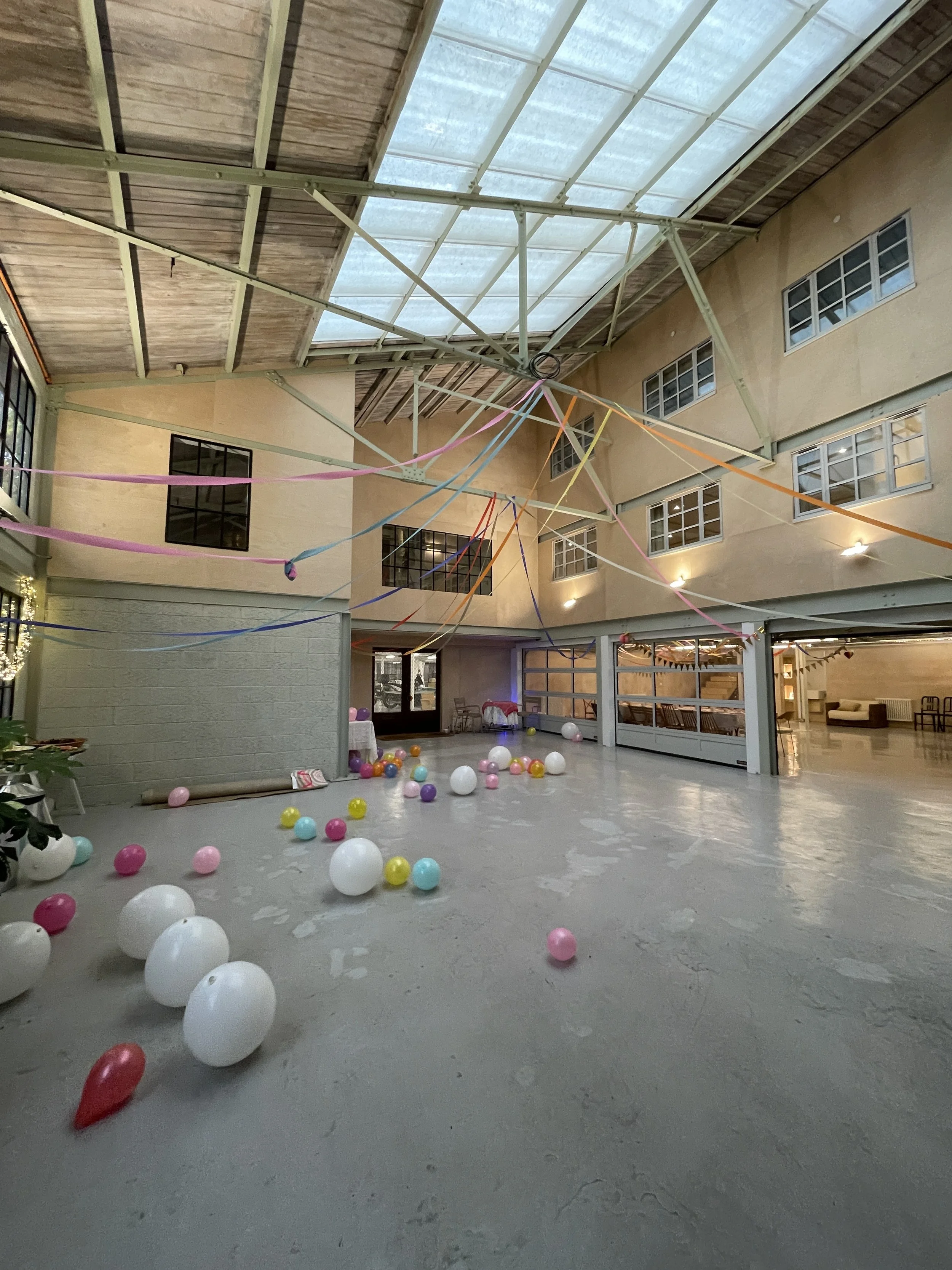 Orlas 8th Birthday Party