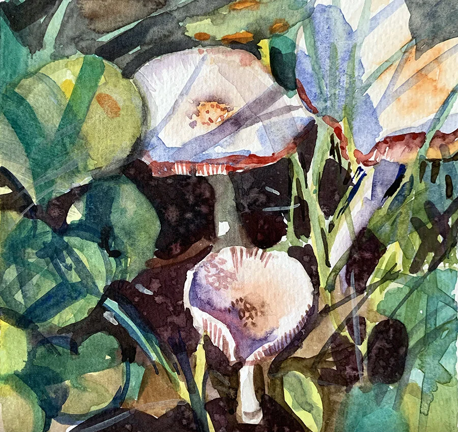 mushrooms2.jpg
