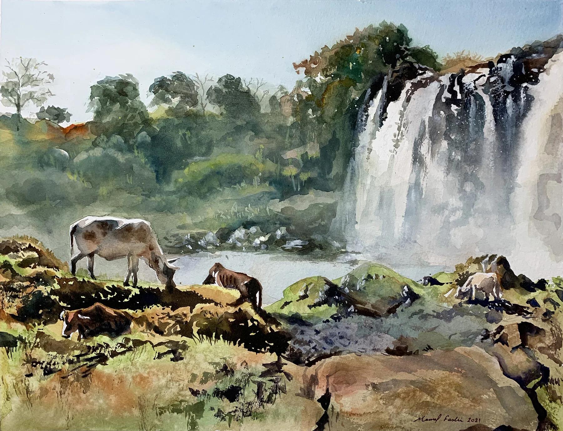 Ethioianwilderness.jpg