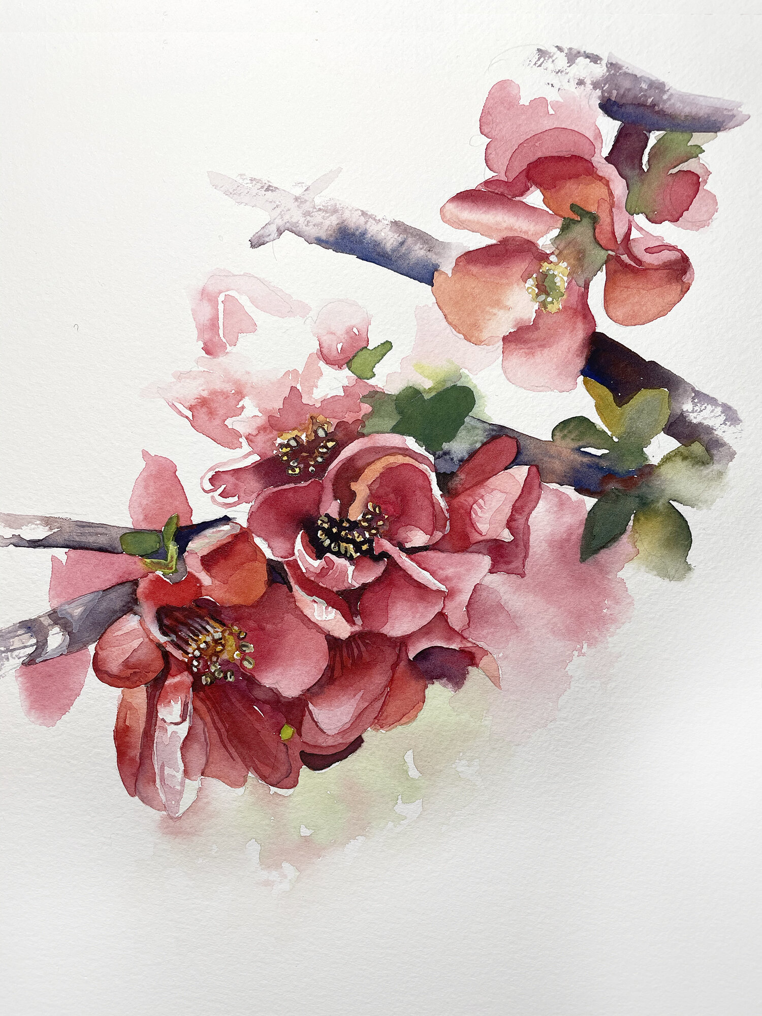 flowers.jpg
