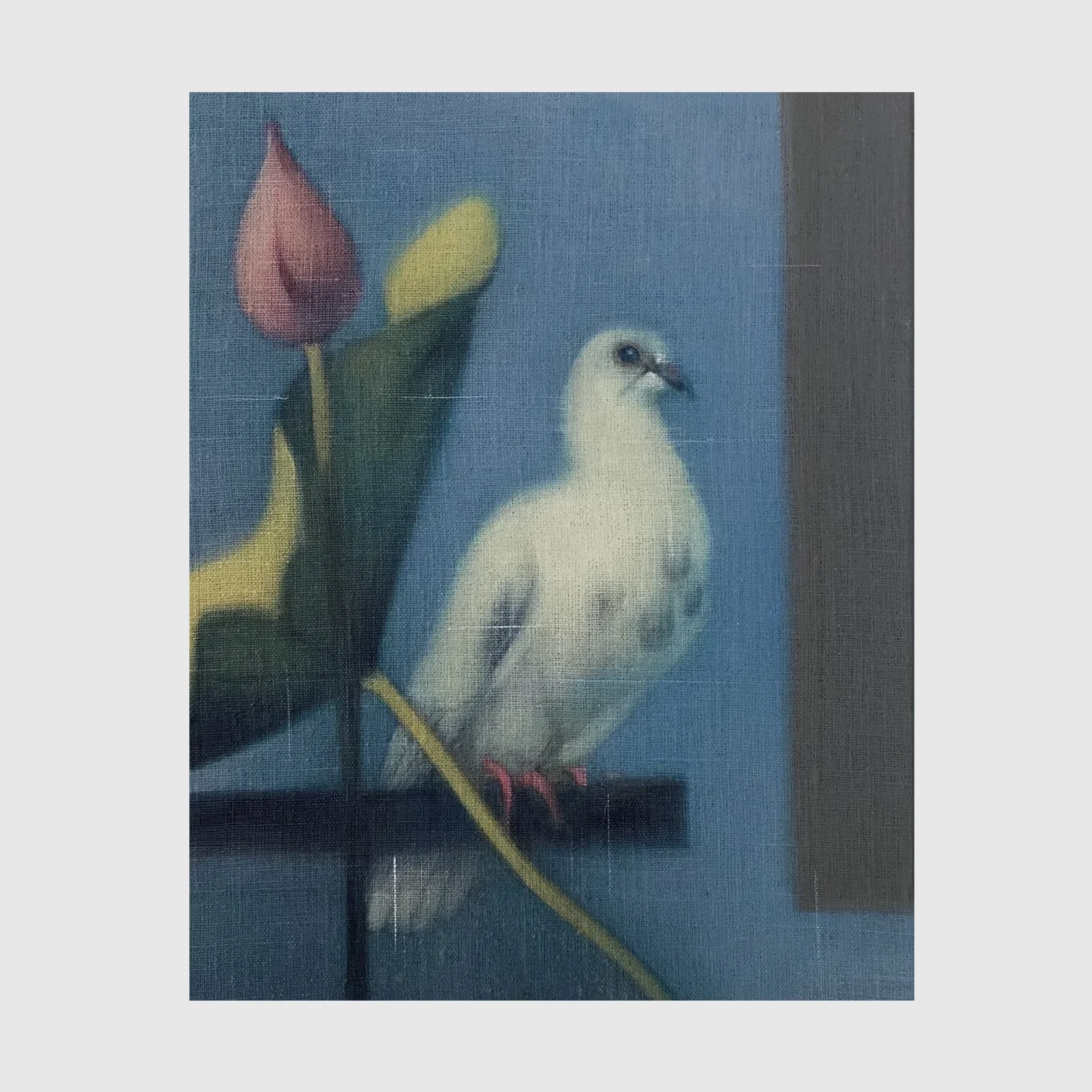 Peace unfolds in bloom (11x14)