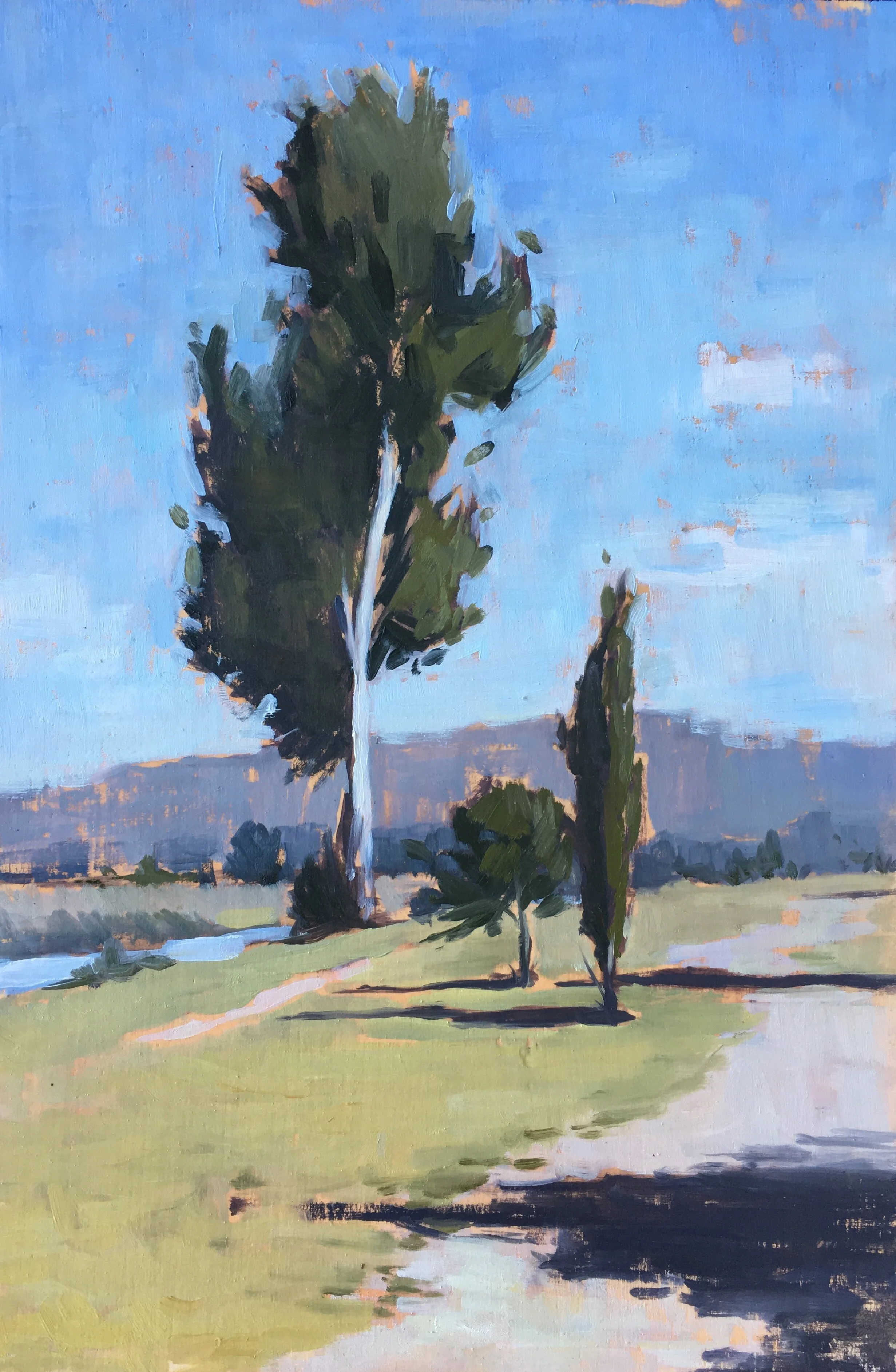 Three Trees.jpg