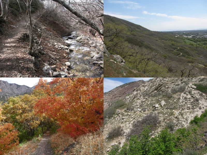 BST Mount Ogden Section Trail 41.jpg