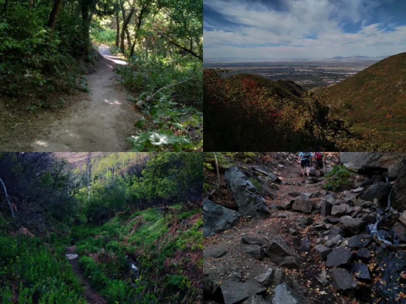 37 Beus Canyon Trail Collage.jpg