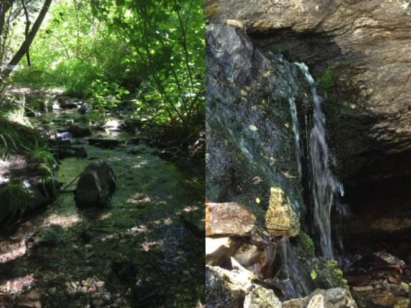 Burch creek.jpg