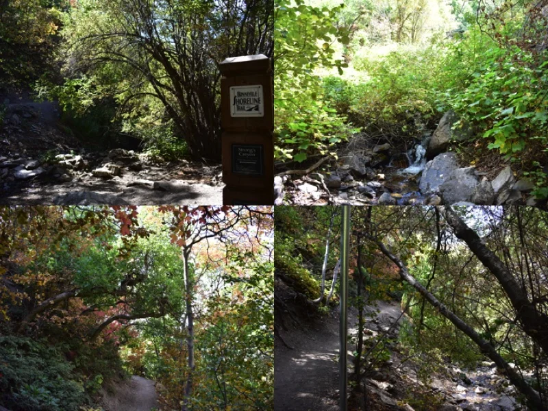 Strongs Canyon.jpg