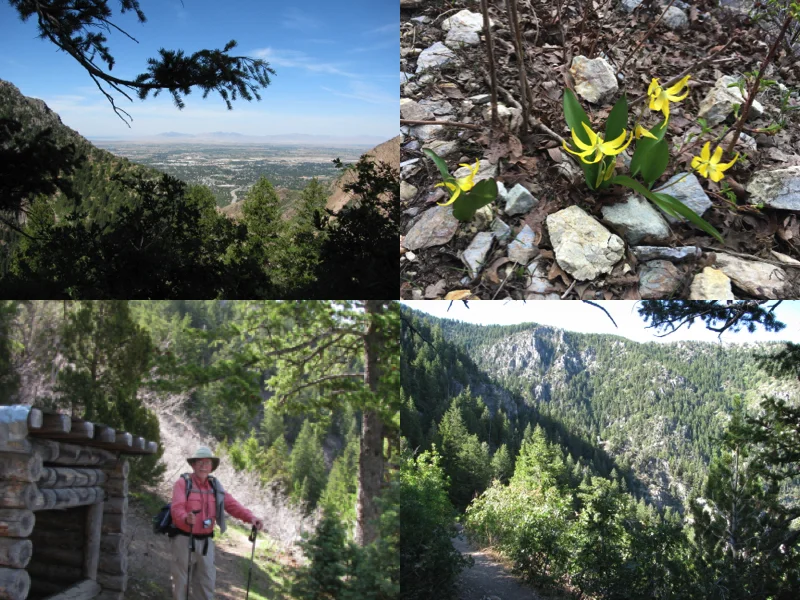 Indian Trail 46.jpg