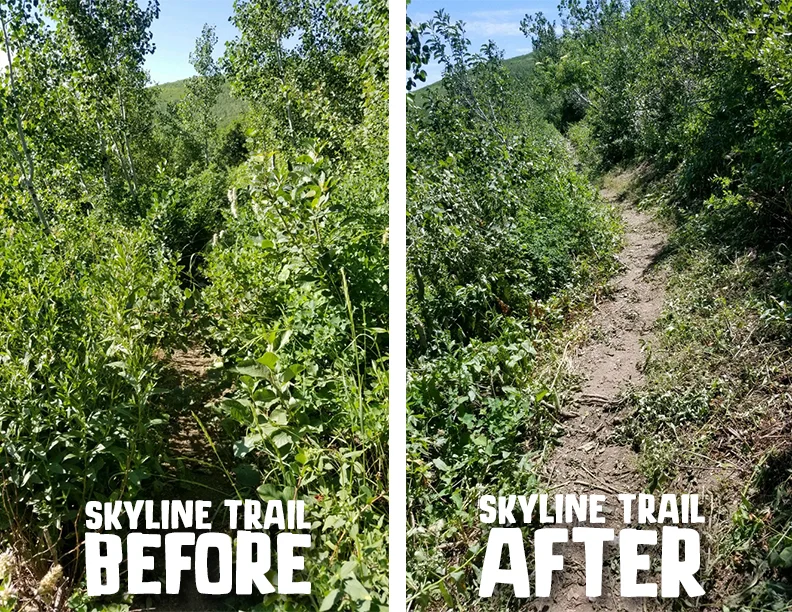 skylineB&A.jpg