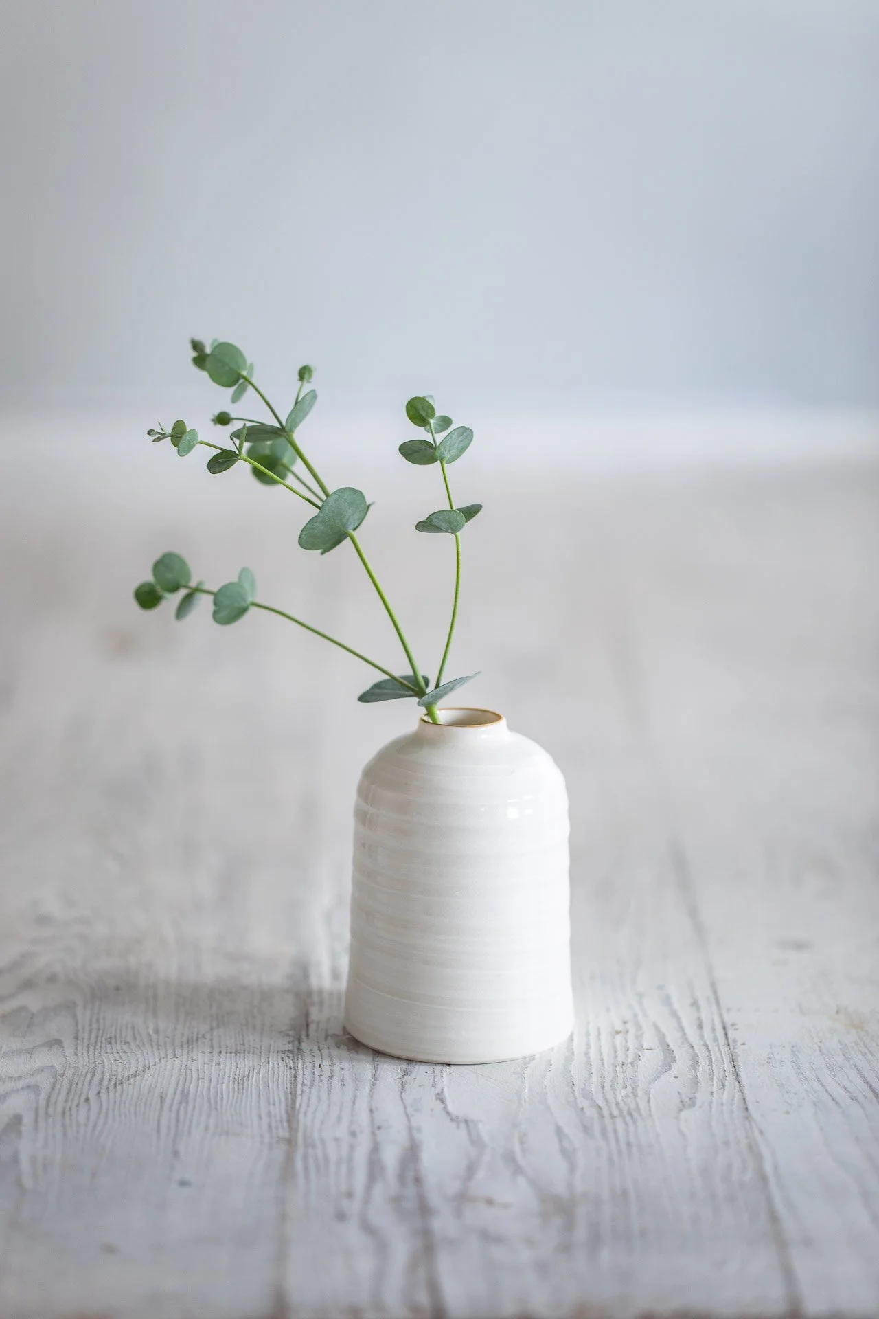 Ceramic Magpie-35224Web.jpg