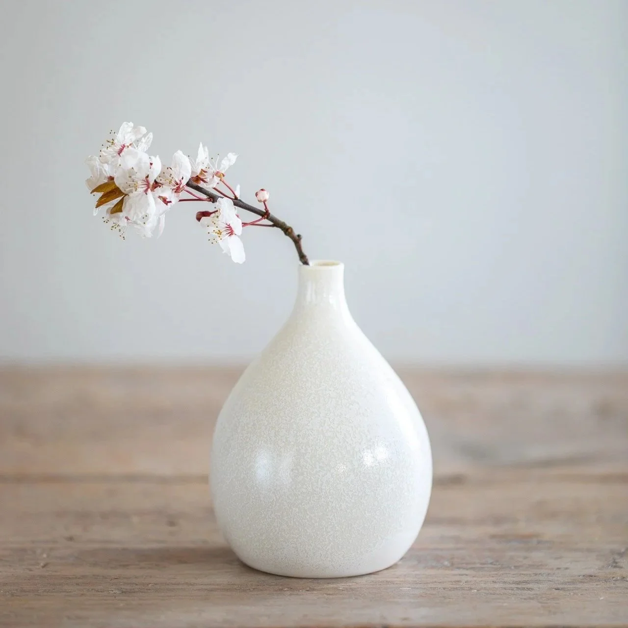 Ceramic+Magpie-42981Web.jpg