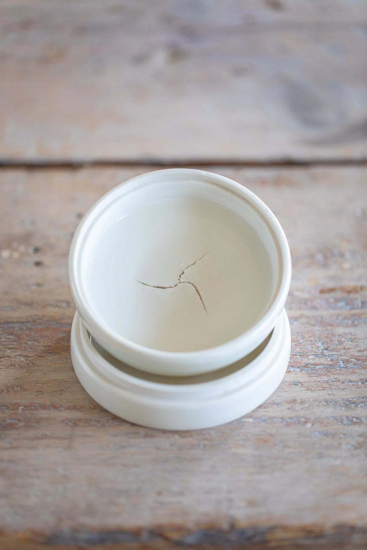 Ceramic Magpie-42970Web.jpg