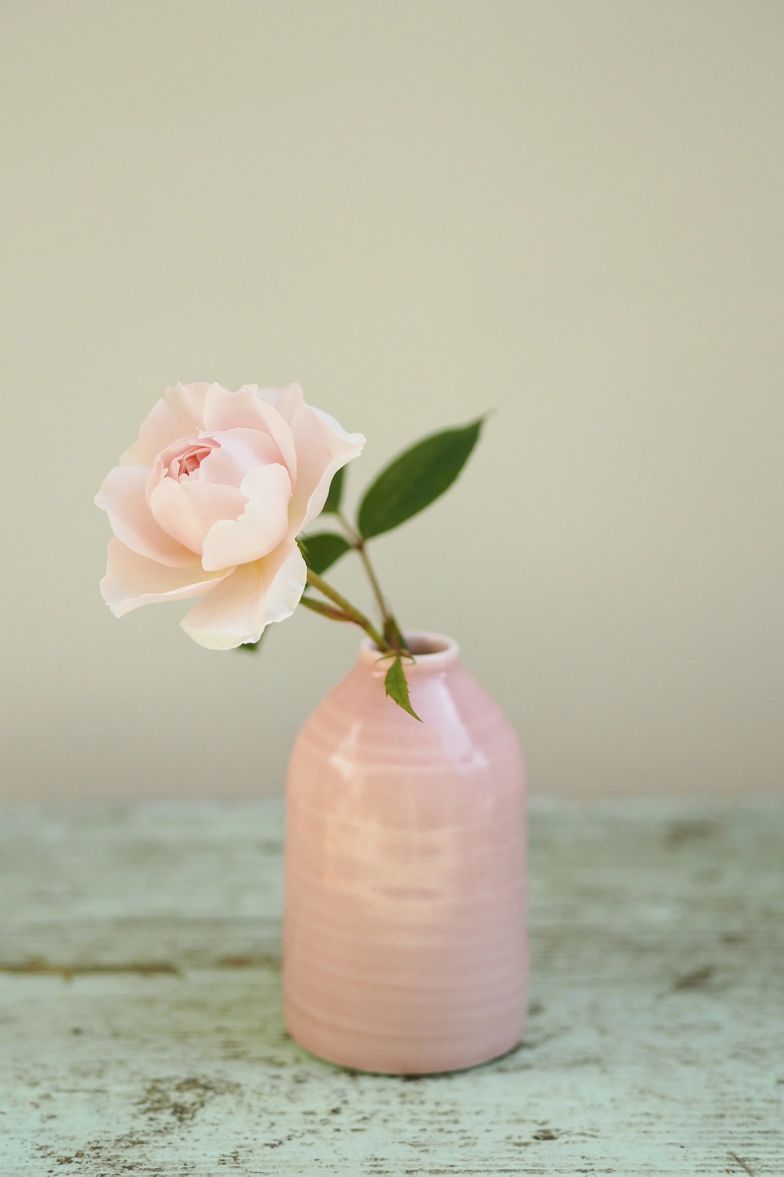 BB235A80-C8D5-4E51-BAAB-4E6258741AEA.JPG
