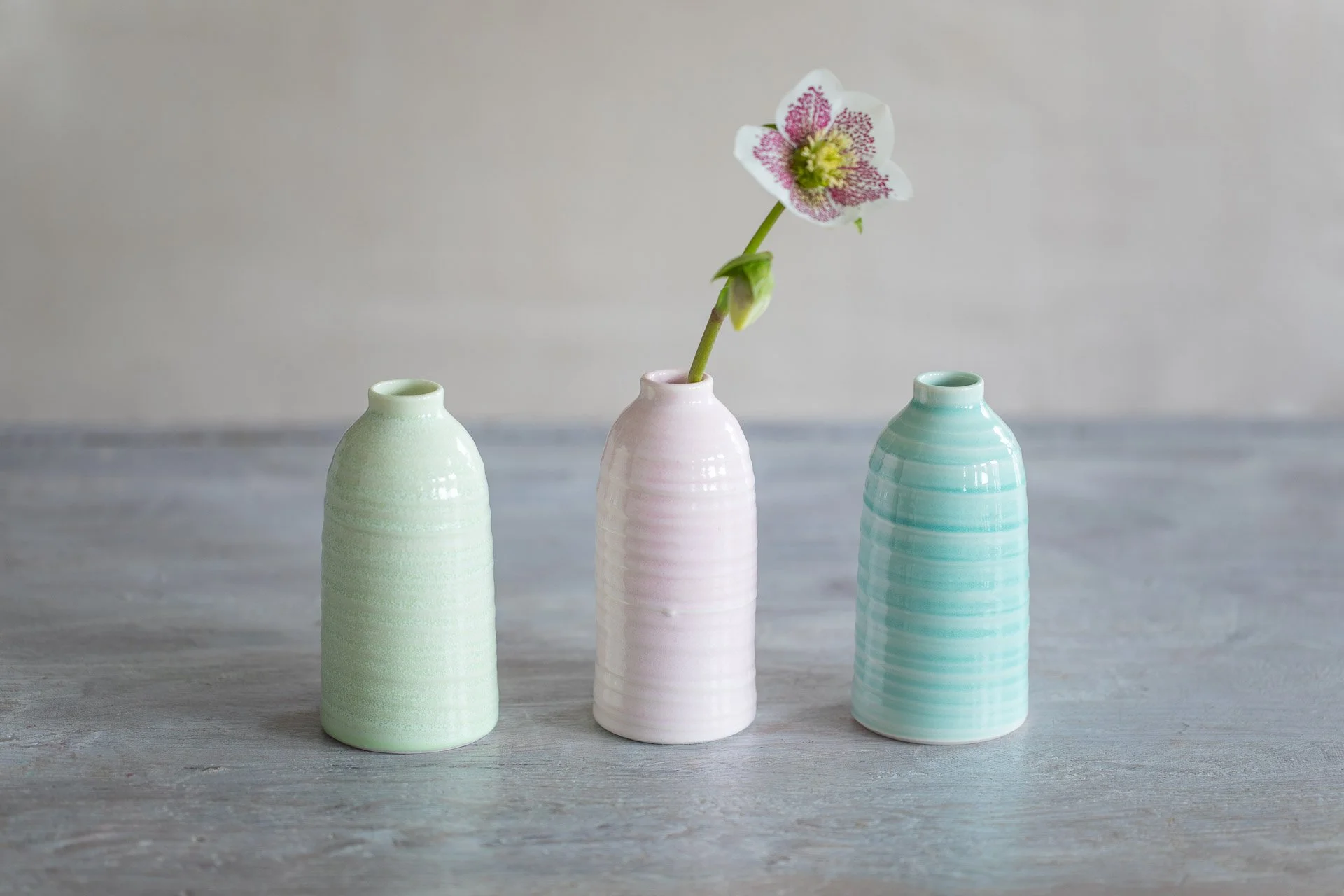 Ceramic Magpie-4307-EditWeb.jpg