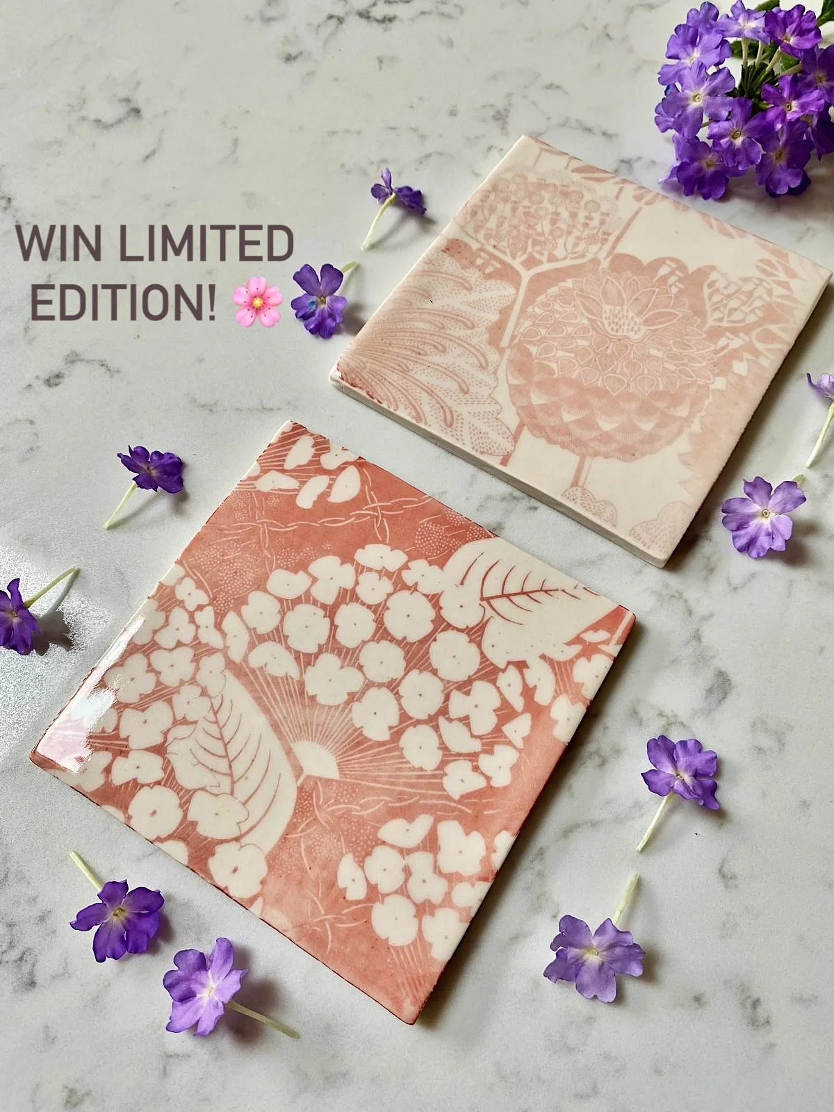 WIN! Limited edition floral porcelain 🌸🎨

This is your reminder to enter the competition to win an item from &lsquo;The Botanical Kiln&rsquo;, a collaboration between Katie, @ceramicmagpie, potter and Emma Hardicker, printmaker.

Together, the arti