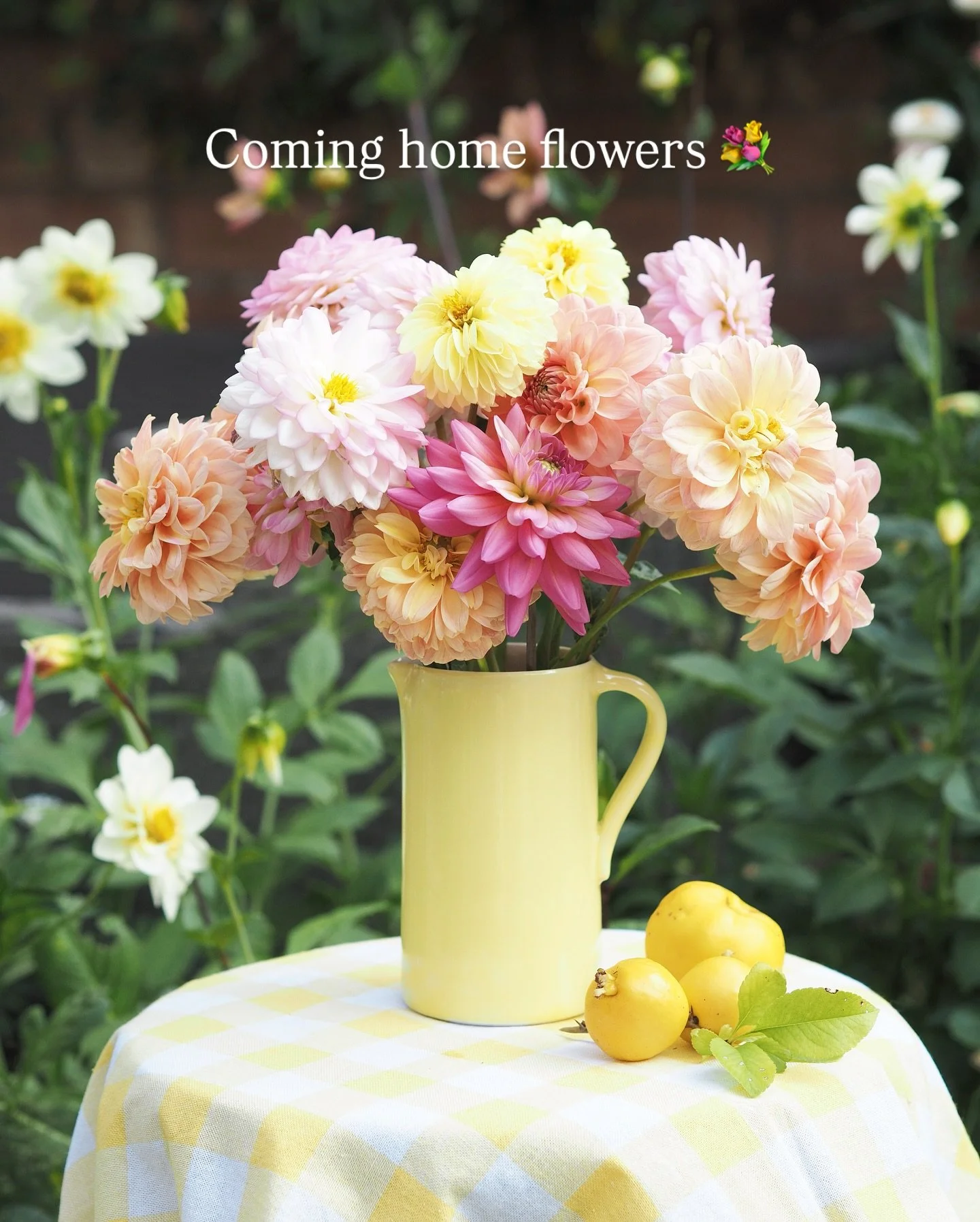 What&rsquo;s the first thing you do when you come home after a break?

Whilst sorting the washing should be top of my list I always need to check the garden! And after being away for a fortnight all the dahlias were having a party without me. So they