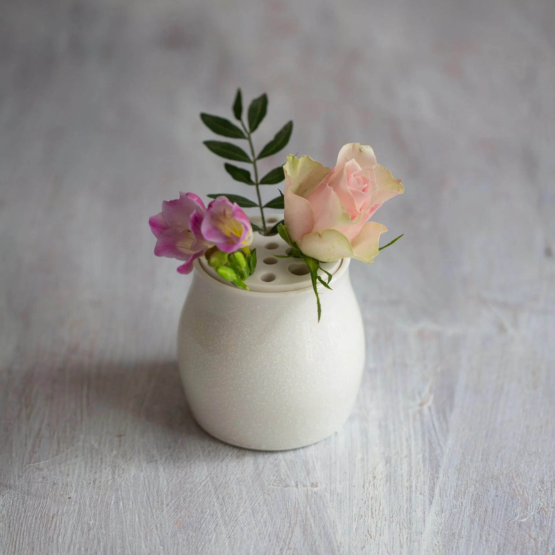 Ceramic Magpie-25261Web.jpg