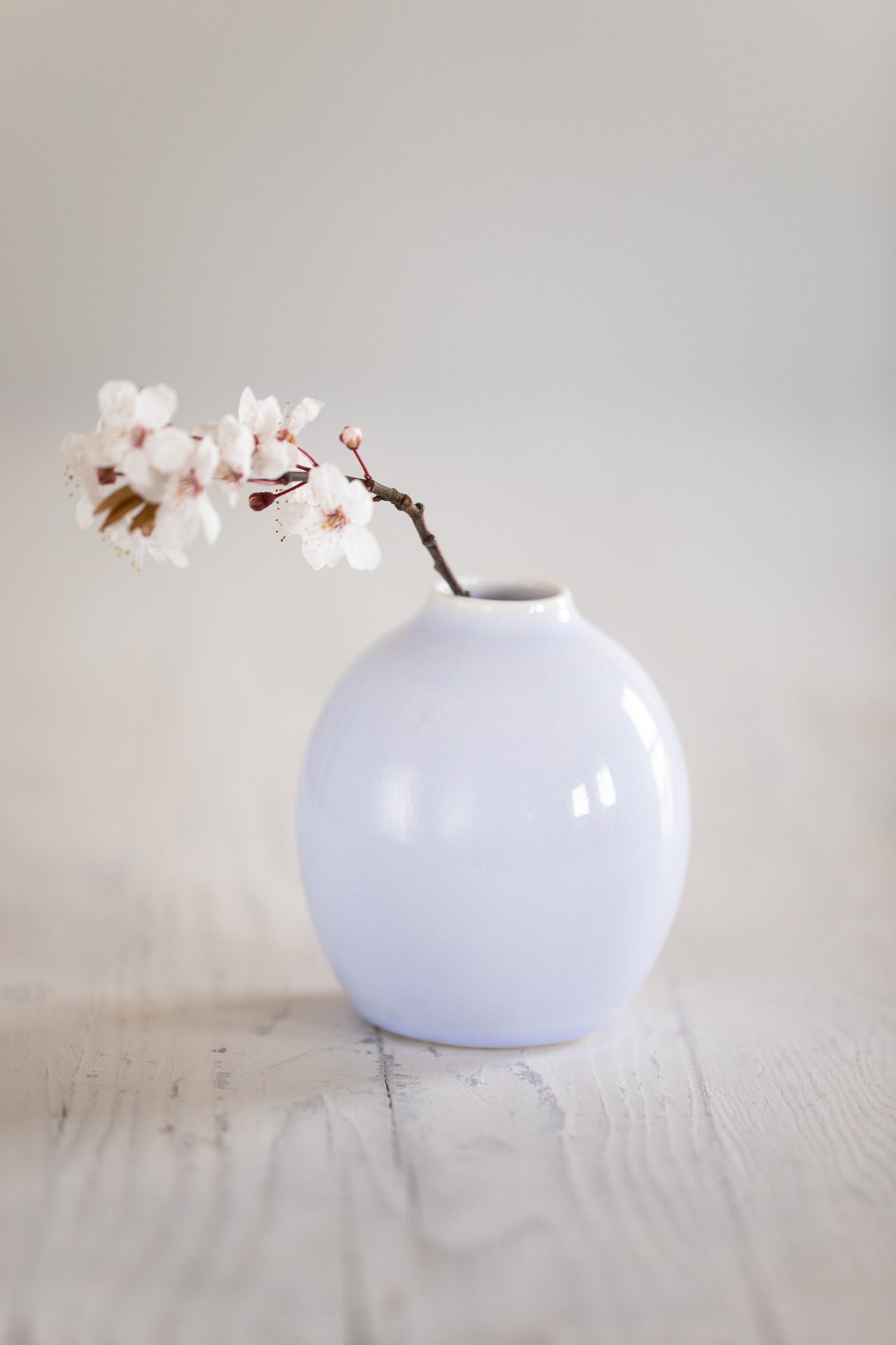 Ceramic Magpie-42912Web.jpg