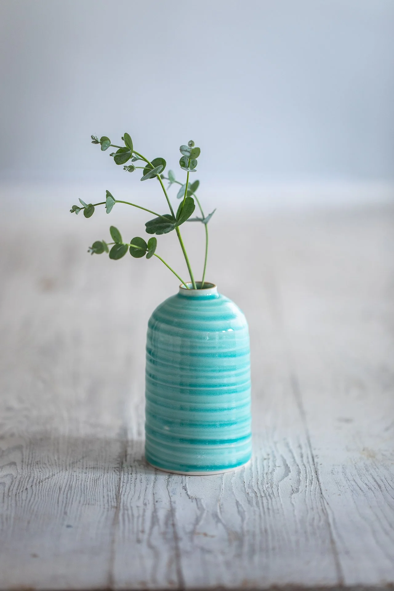 Ceramic Magpie-35225Web.jpg