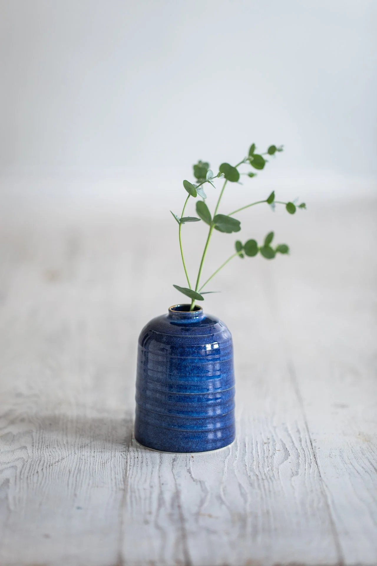 Ceramic Magpie-35222Web.jpg