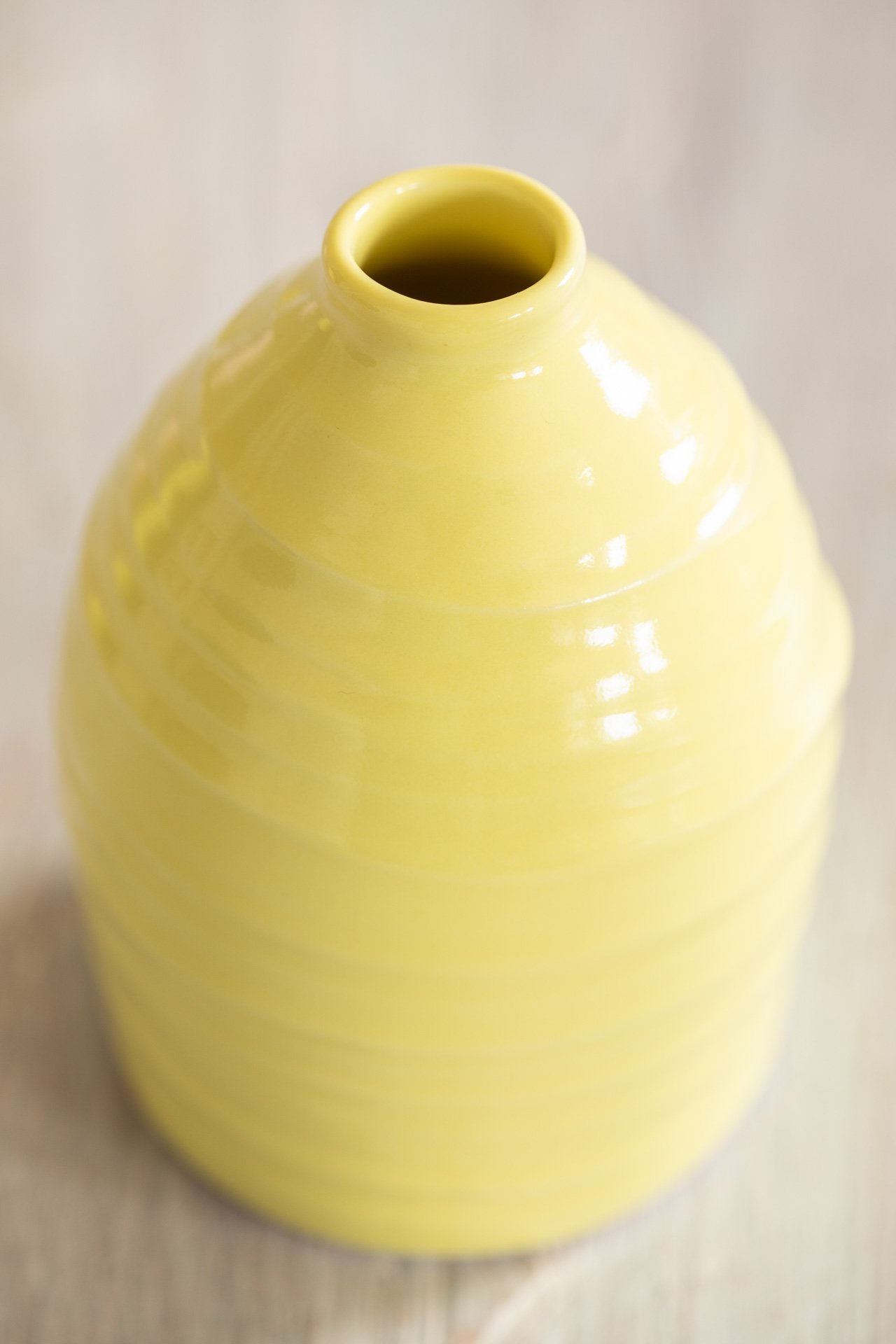 Ceramic Magpie-21655Web.jpg