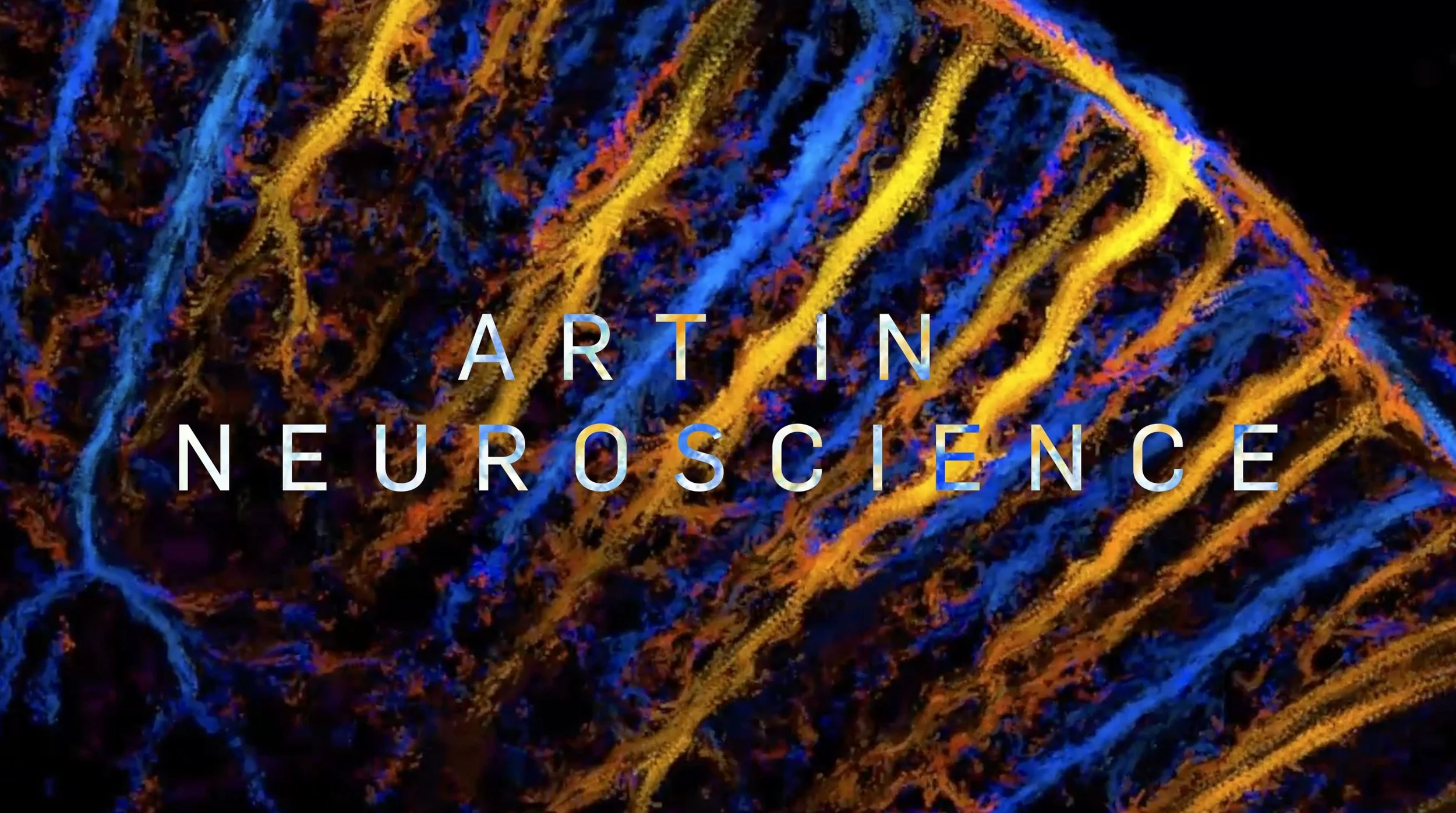 Museum Exhibition Documentary