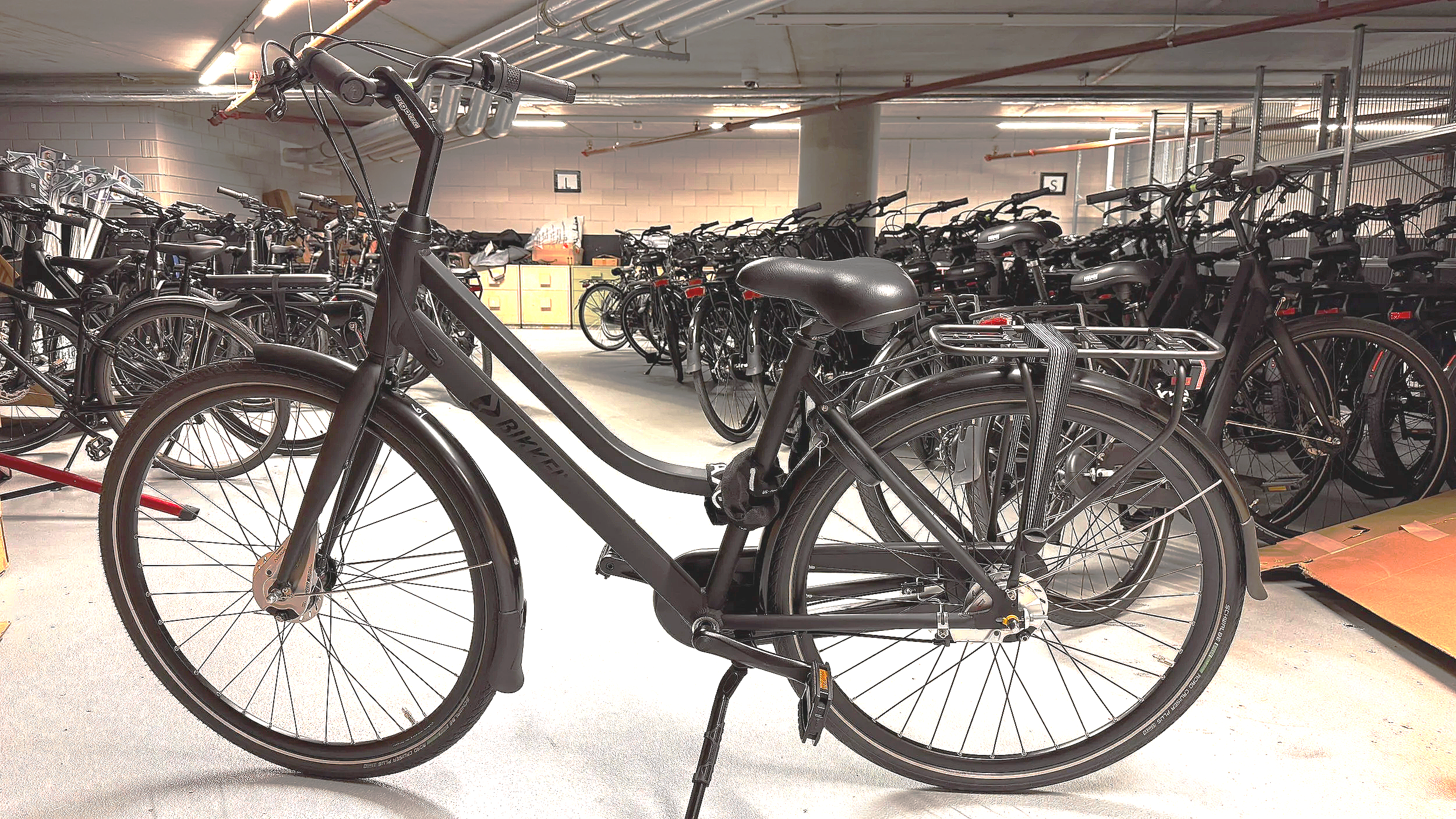 Adult Rental Bike